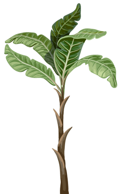 Tree 1.png